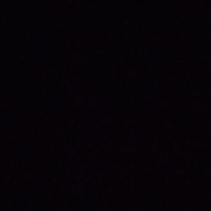 Meet your Posher, Beau